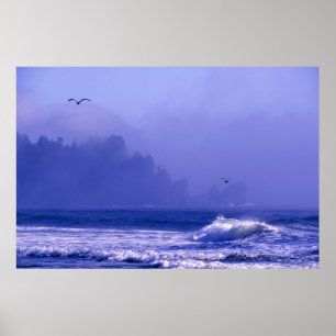 Affiche USA, Washington, Parc National Olympique. Brume