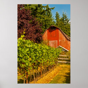 Affiche USA, Washington, Whidbey Island. Winery