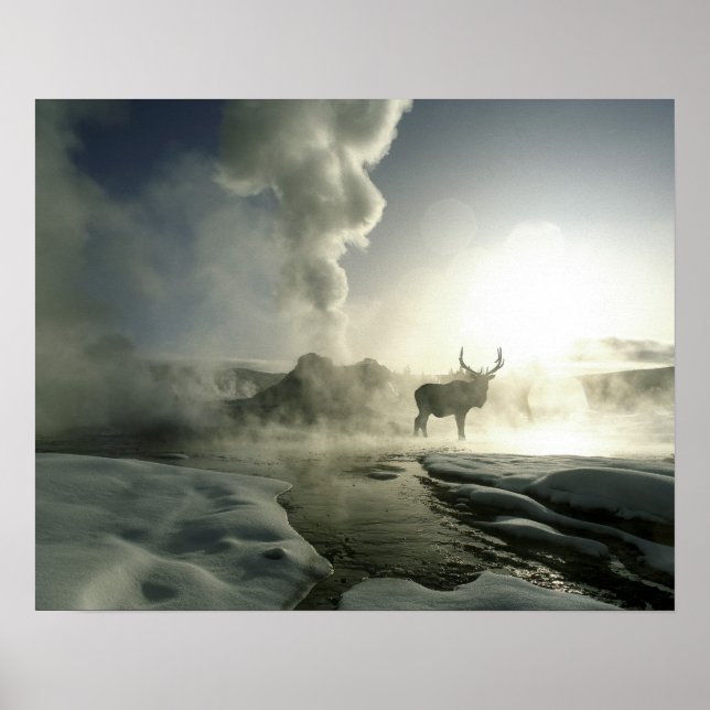 Affiche USA, Wyoming, Parc National de Yellowstone. Soleil (Devant)
