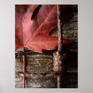 Affiche usé et patiné