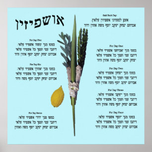 Affiche Ushpizin & Arba Minim (4 espèces)