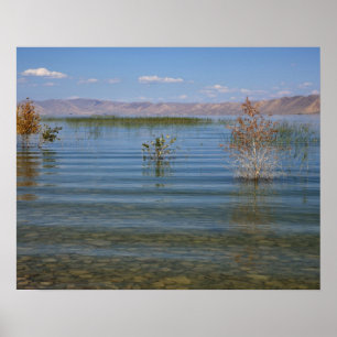 Affiche UT, lac Bear
