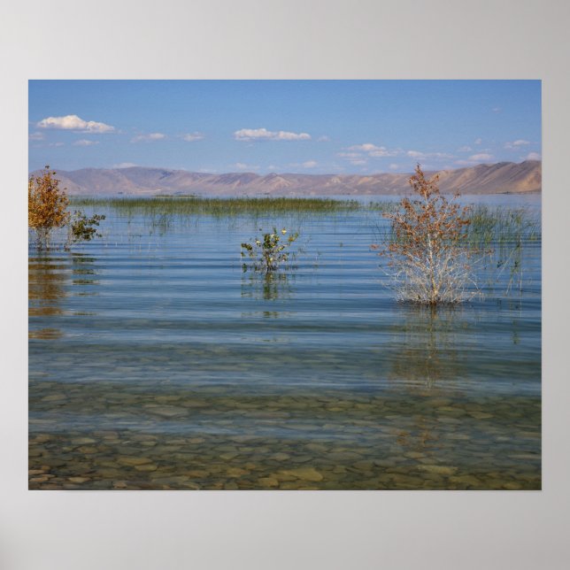 Affiche UT, lac Bear (Devant)