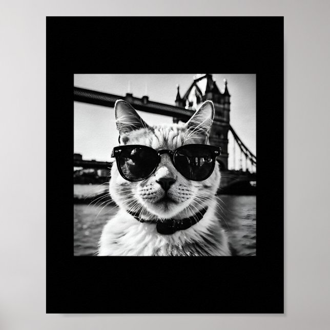 Affiche Vacances britanniques et visites de chats à Londre (Devant)