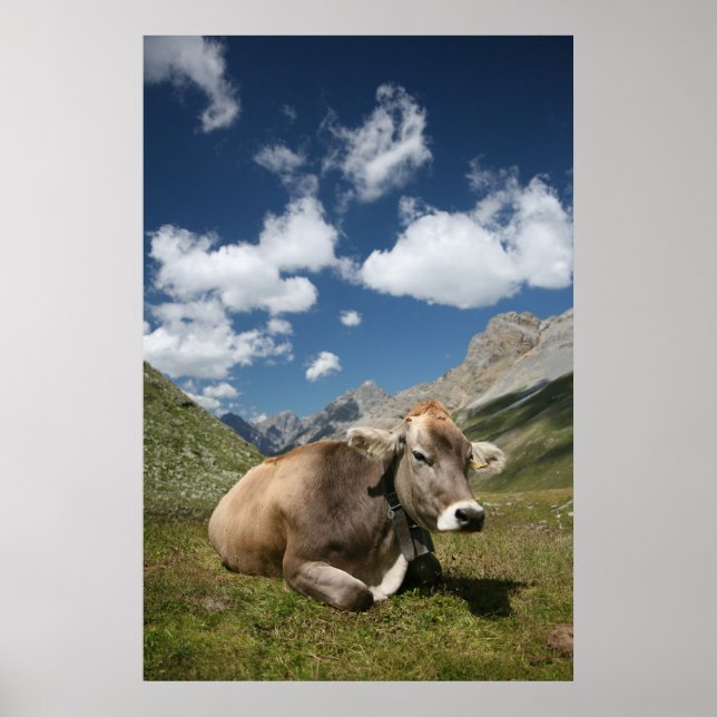 Affiche Vache (Devant)