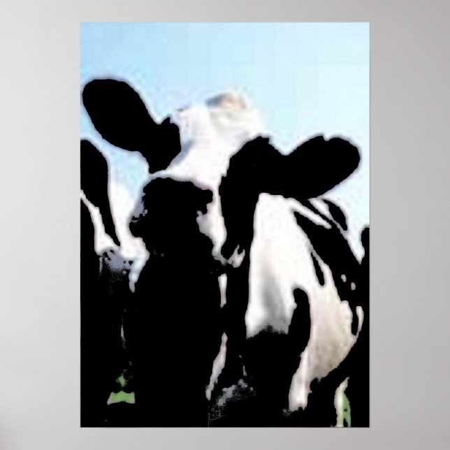 Affiche vache (Devant)