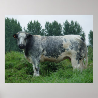 Affiche Vache Bleue