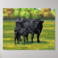 Vache d'Angus noir et veau mou en pâturage d'été