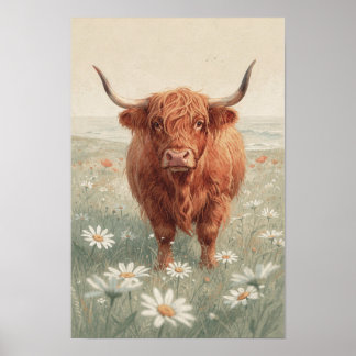 Affiche Vache des Highlands dans un pré de pâquerettes - F