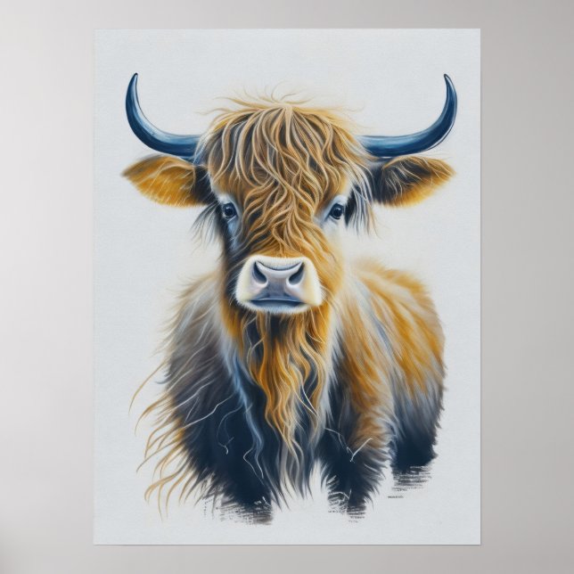 Affiche Vache écossaise des Highlands (Devant)