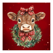 Vache écossaise des Highlands à Noël