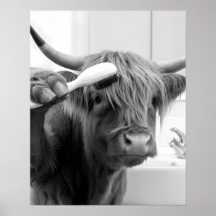 Affiche Vache Highland avec brosse à cheveux drôle coiffeu
