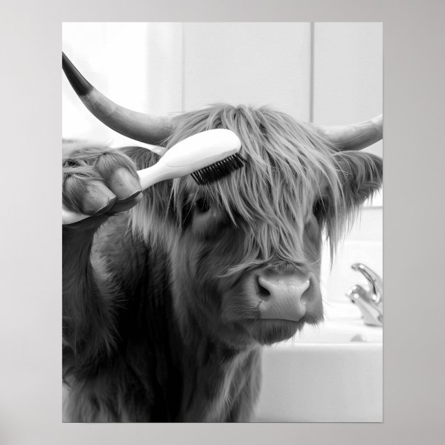 Affiche Vache Highland avec brosse à cheveux drôle coiffeu (Devant)