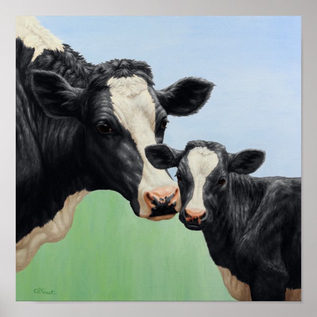 Affiche Vache Holstein noire & veau mignon (Devant)