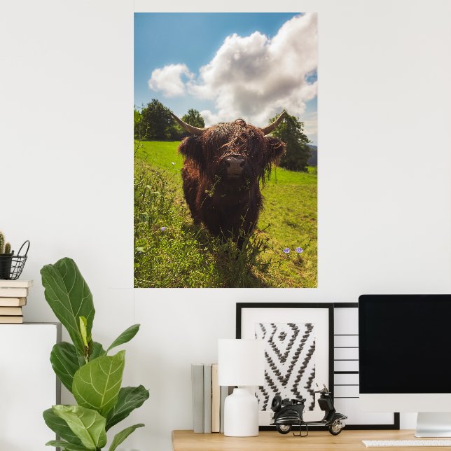 Affiche Vache noire pâturage vert champ soleil (Bureau à domicile)