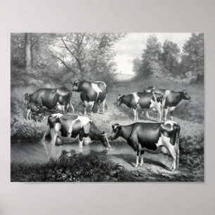 Affiche Vaches dans les pâturages