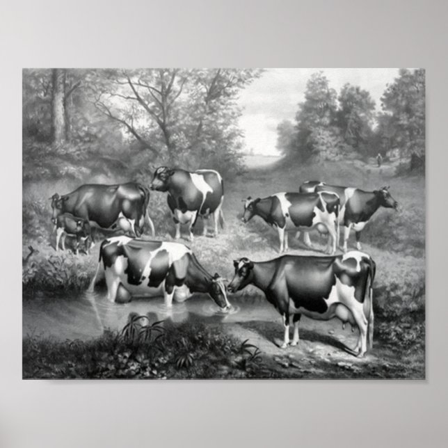 Affiche Vaches dans les pâturages (Devant)