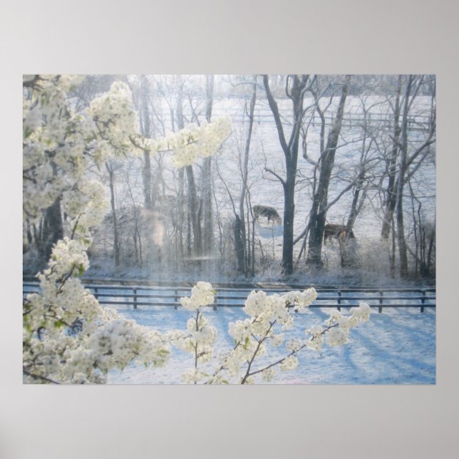 Affiche Vaches dans un champ en hiver (Devant)