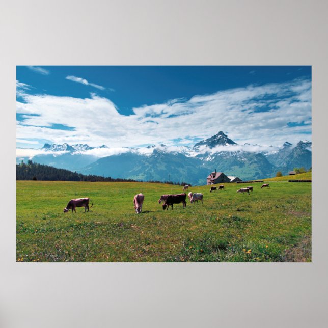 Affiche Vaches joyeuses sur la ferme en Suisse (Devant)