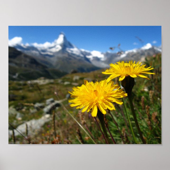 Affiche Valais Alpes suisses (Devant)