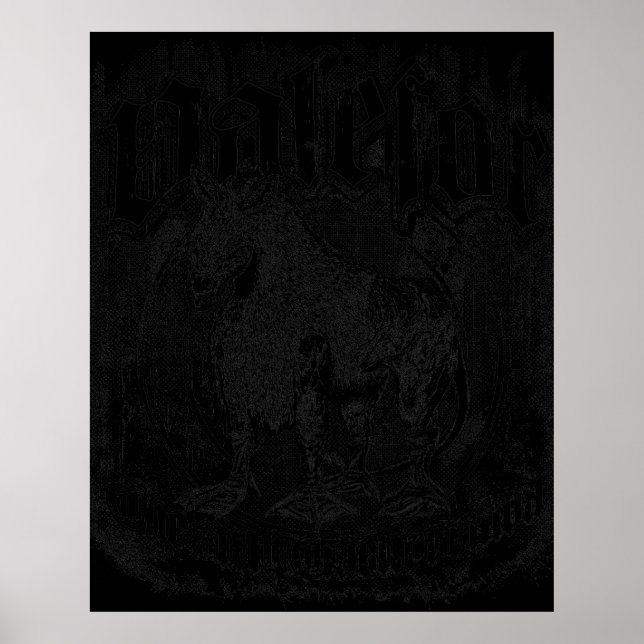 Affiche Valefor (Devant)