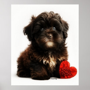 Affiche Valentine la plus fine, Chiot Havanais au chocolat