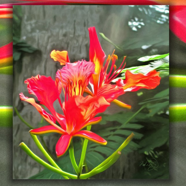 Affiche Vallarta Flaming Beauty 1583 Art Imprimer (Créateur téléchargé)