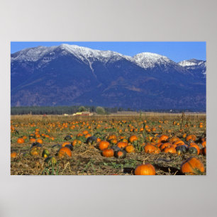 Affiche Vallee de Flathead Montana aire de citrouilles