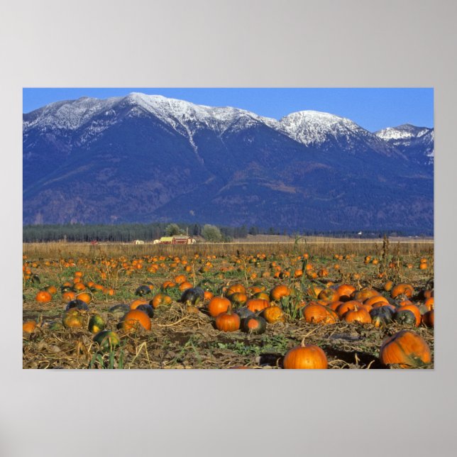 Affiche Vallee de Flathead Montana aire de citrouilles (Devant)