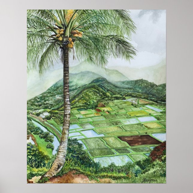 Affiche Vallée de Hanalei 16x20M (Devant)