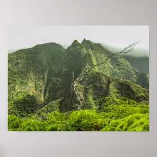 Affiche Vallée d'Iao