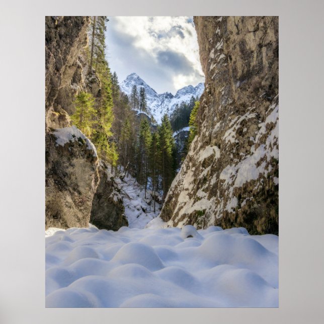Affiche Vallée et montagnes d'hiver et de printemps (Devant)