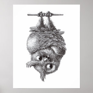 Affiche Vampire Owl - Très effrayant