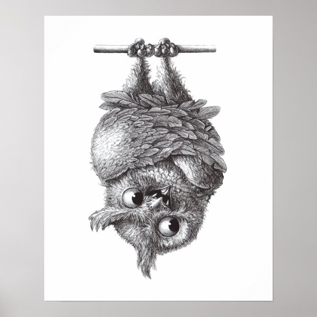 Affiche Vampire Owl - Très effrayant (Devant)