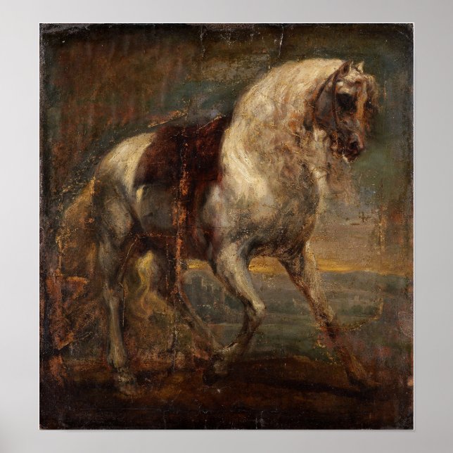 Affiche Van Dyck - Un Cheval Gris (Devant)