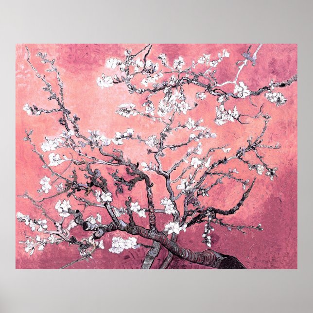 Affiche Van Gogh Almond Blossom pêche rose (Devant)
