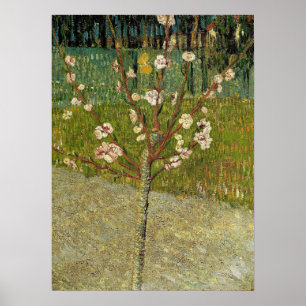 Affiche Van Gogh - Amandier En Fleurs