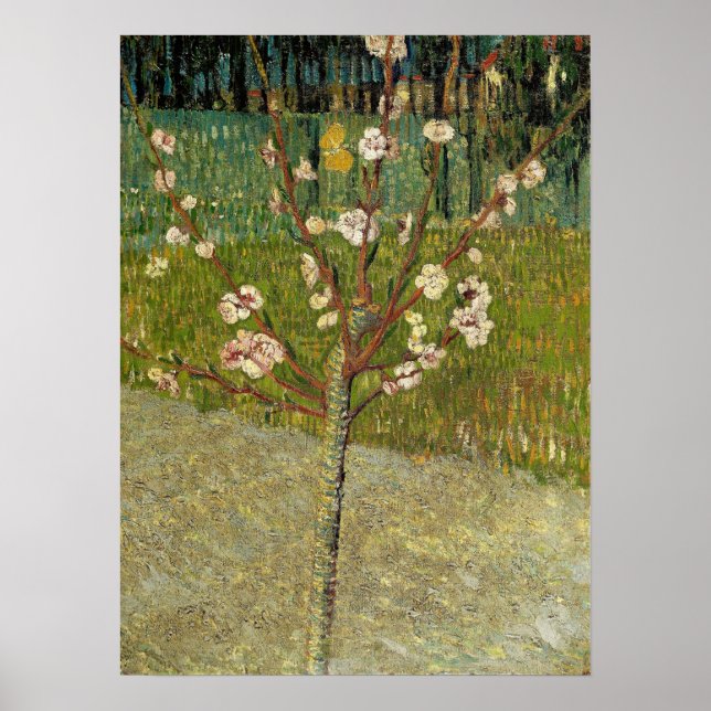 Affiche Van Gogh - Amandier En Fleurs (Devant)