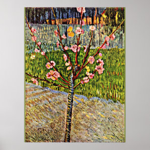Affiche Van Gogh - Arbre aux amandes en Blossom, oeuvre po