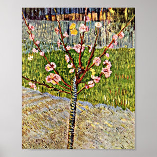 Affiche Van Gogh - Arbre aux amandes en fleurs