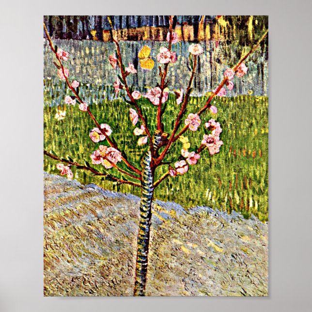 Affiche Van Gogh - Arbre aux amandes en fleurs (Devant)