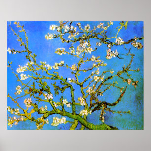 Affiche Van Gogh : Branches florissantes d'amandes