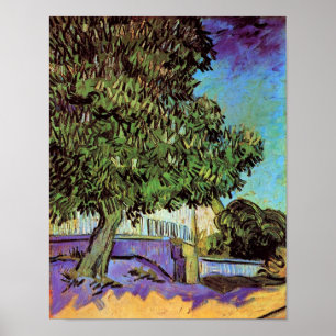 Affiche Van Gogh - Châtaignier En Fleur