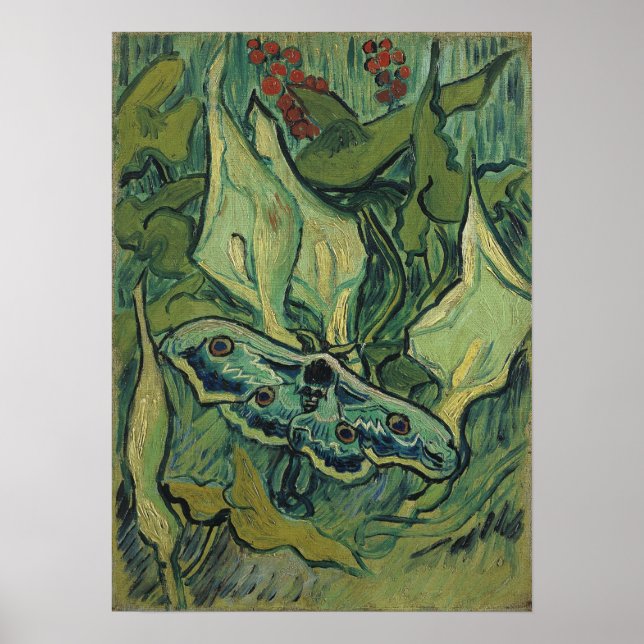 Affiche Van Gogh - Empereur Moth (Devant)