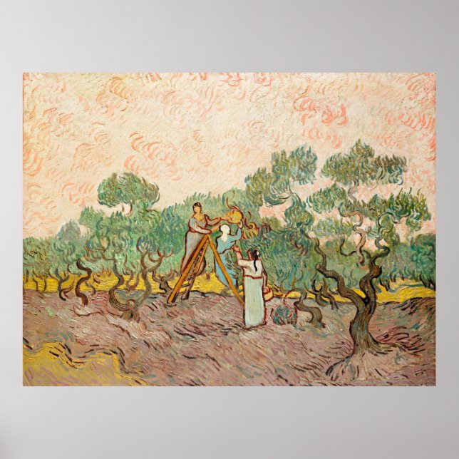 Affiche Van Gogh - Femmes cueillant des olives, (Devant)