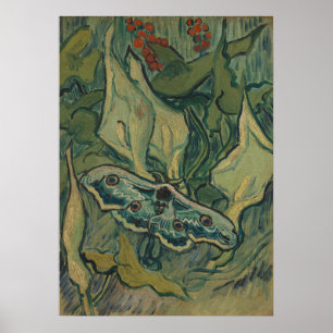 Affiche Van Gogh Grand Paon de Nuit Art de la Nature Vinta