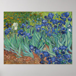 Affiche Van Gogh - Iris