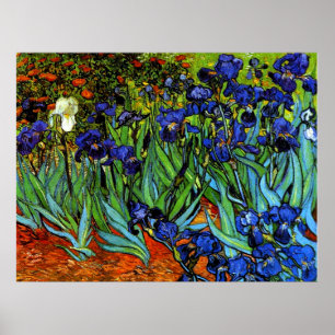 Affiche Van Gogh - Irises