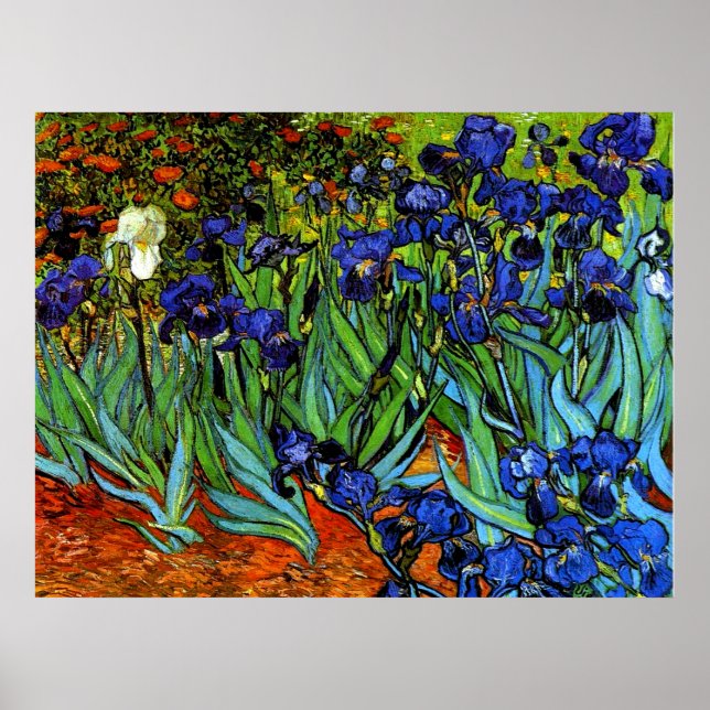 Affiche Van Gogh - Irises (Devant)