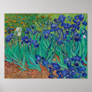 Affiche Van Gogh Irises
